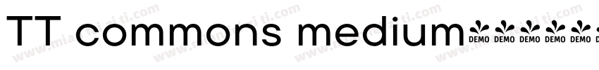 TT commons medium字体转换
